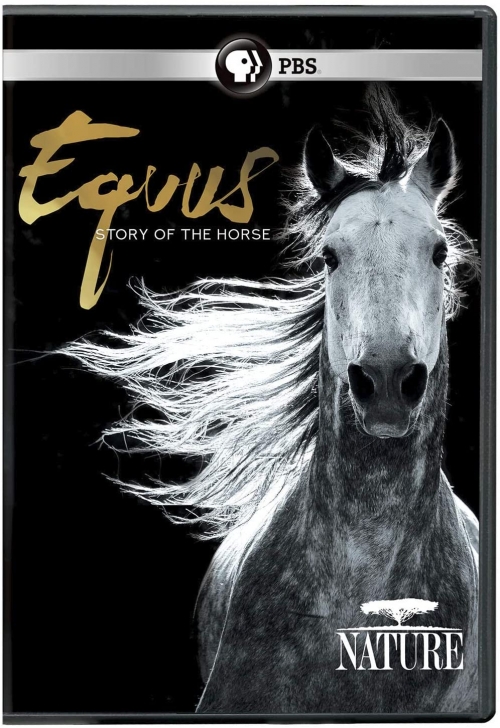 EQUUS. История лошади